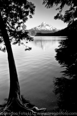 Mt. Hood Lost Lake
