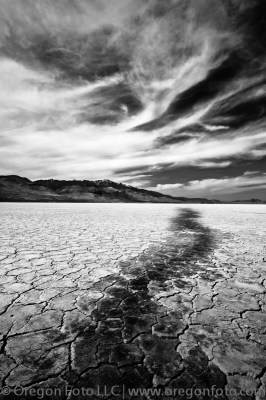 Alvord Desert 
