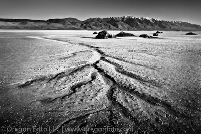 Alvord Desert