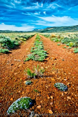 Hart Mountain National Antelope Refuge