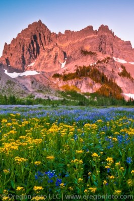 Canyon Creek Meadows