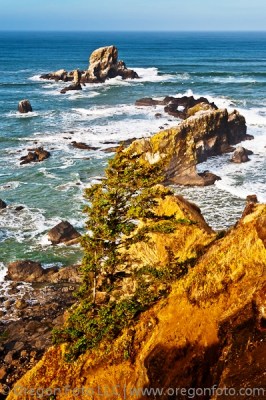 ecola state park oregon
