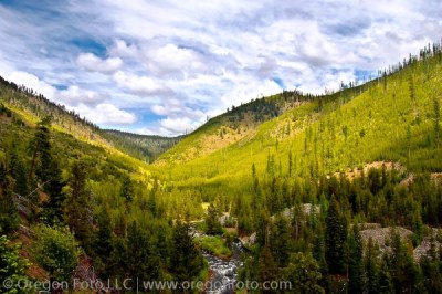 north fork john day wilderness