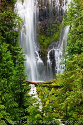 proxy falls