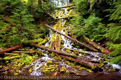 proxy falls